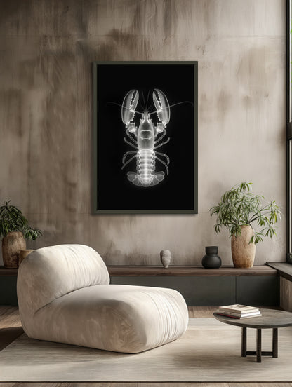 Lobster | X-Ray Elegance